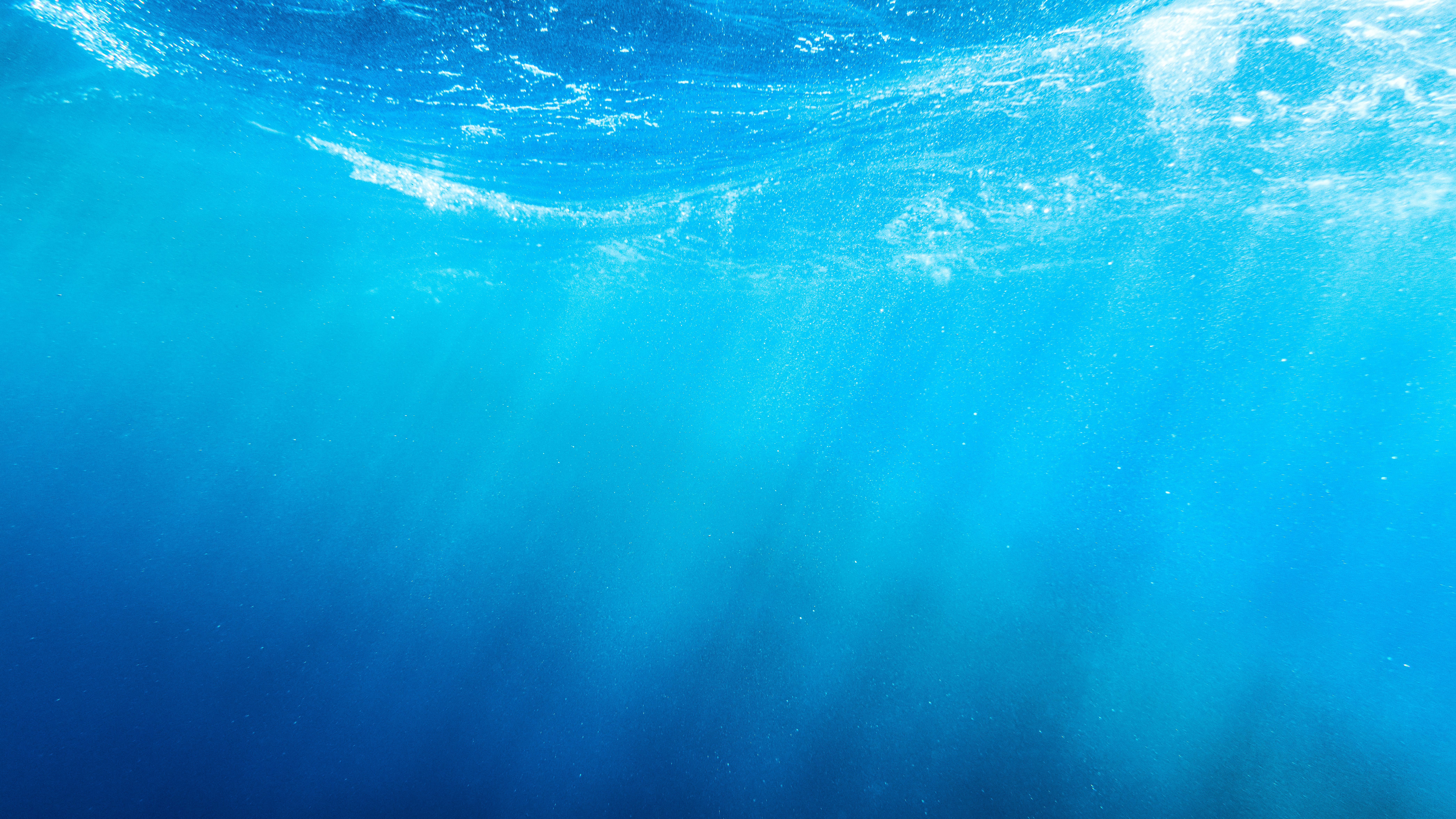 A view under the sea.