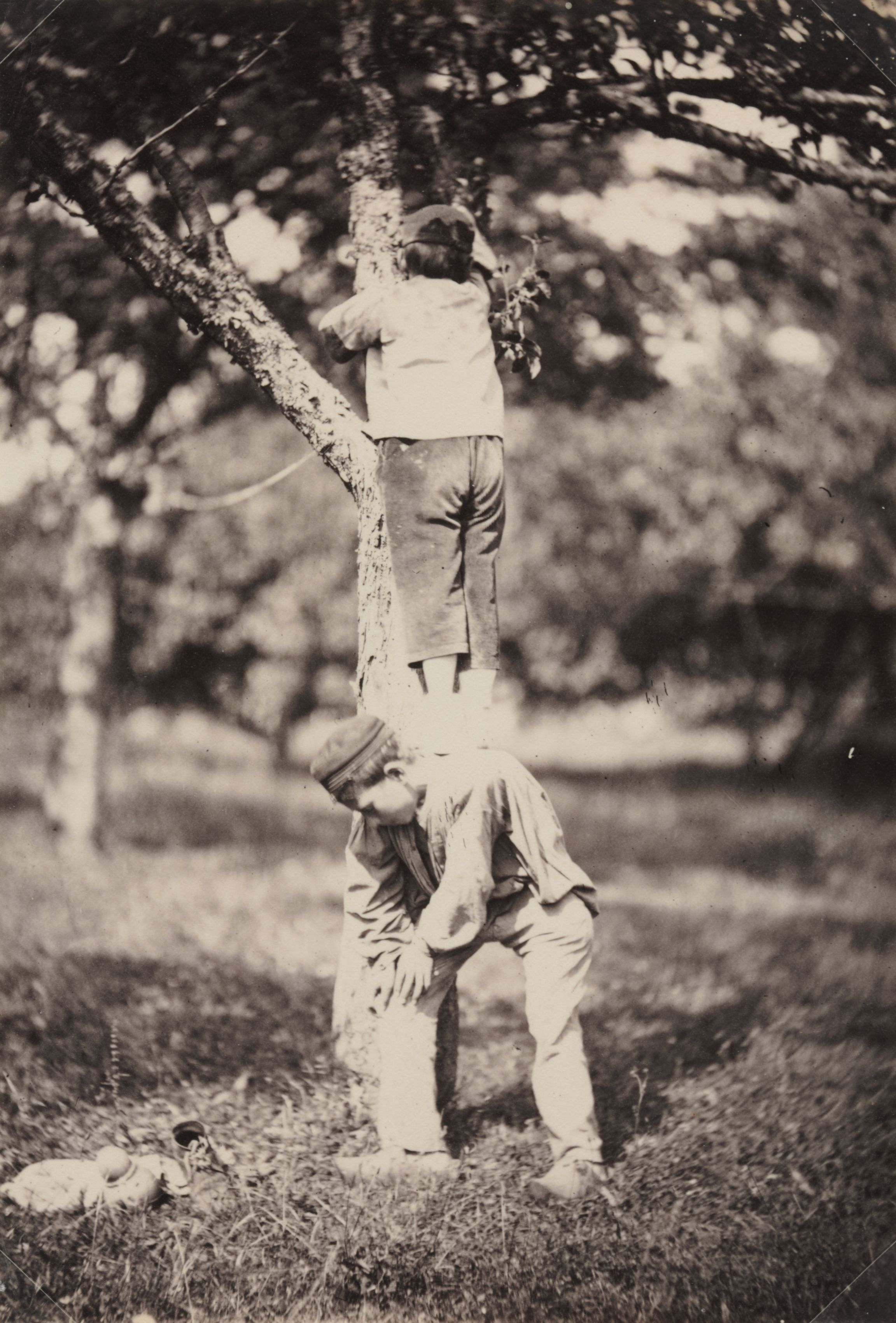 Antique photo of two boys climbing a tree. One is bent over to allow the other to stand on his back and shoulders.